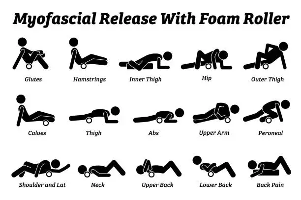 Vector illustration of Myofascial release with foam roller physical therapy techniques for different body parts.
