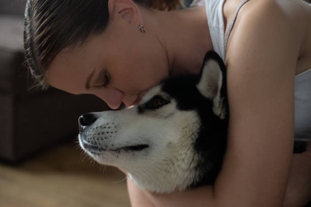 istock Siberian Husky with owner 1307354303