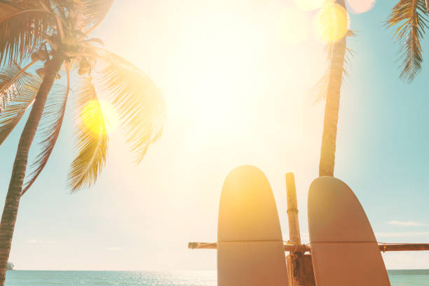 istock Surfboard and palm tree on beach double exposure with colorful bokeh sun light texture abstract background. 1307357587