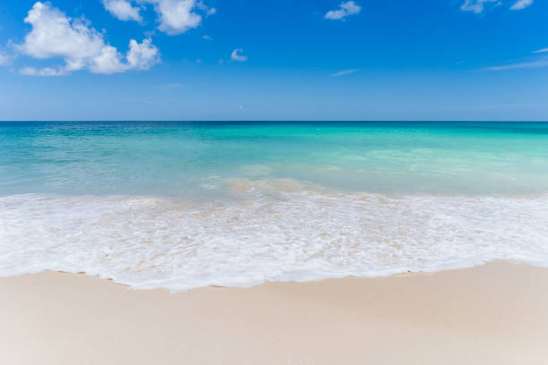 istock Beautiful tropical beach with blue sky and white clouds abstract texture background. 1307357594