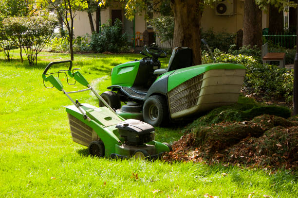 istock Lawn mowers on the lawn 1307358579