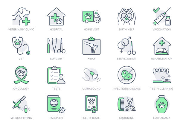 수의학 라인 아이콘. 벡터 일러스트에는 청진기, 그루밍, 엑스레이, 초음파, 예방 접종, 수의사 클리닉용 살균 개요 픽토그램이 포함됩니다. 녹색, 편집 가능한 스트로크 - pet grooming stock illustrations