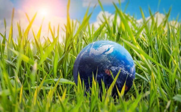 Earth planet in th grass. Nature. Global warming.Earth day and ecology. Save the environment. Elements of this image furnished by NASA Earth planet in th grass. Nature. Global warming.Earth day and ecology. Save the environment. Elements of this image furnished by NASA (url:https://earthobservatory.nasa.gov/blogs/elegantfigures/wp-content/uploads/sites/4/2011/10/land_shallow_topo_2011_8192.jpg) marble globe stock pictures, royalty-free photos & images