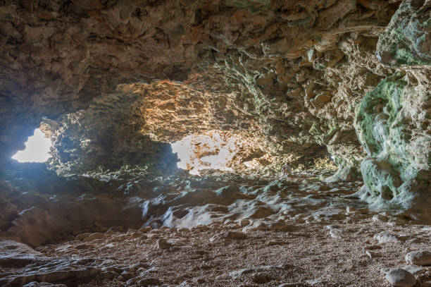 istock Animal Flower Cave in Barbados 1307362850