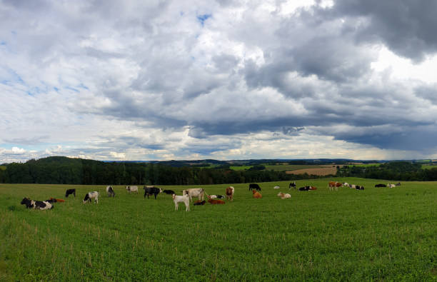 istock scenic panorama view of natural landscape under a cloudy sky 1307362919