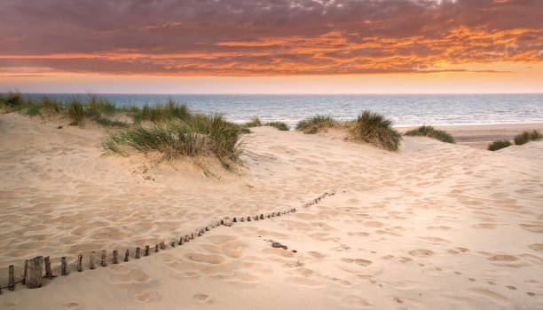 istock Grassy sand dunes landscape at sunrise 1307366258