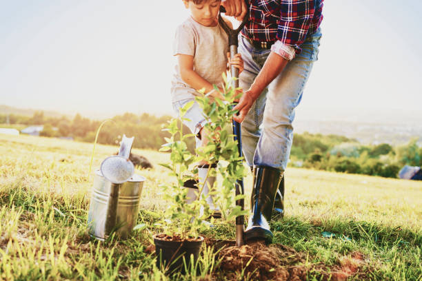 istock Little boy helping to plant a tree 1307370092
