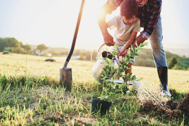 istock Grandfather and grandson planting a tree 1307370307