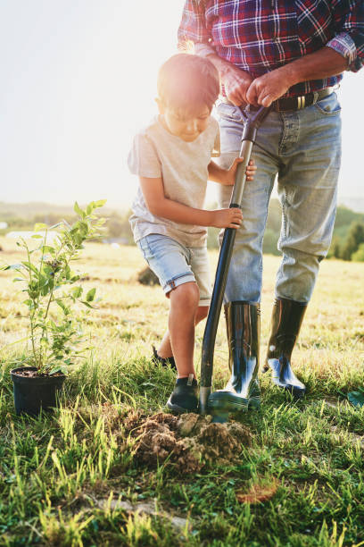 istock Boy helping to plant a tree 1307370591