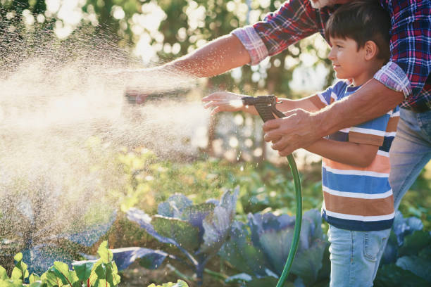 istock Boy helping watering vegetables in the garden 1307371311