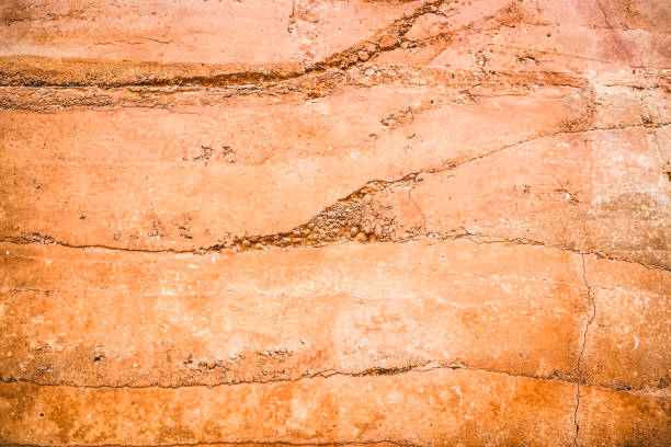 istock Abstract nature Soil patterned layer of clay soil 1307373159