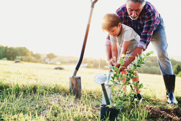 istock Grandfather and grandson planting a tree together 1307373871