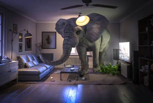 big elephant inside a living room with nobody inside.