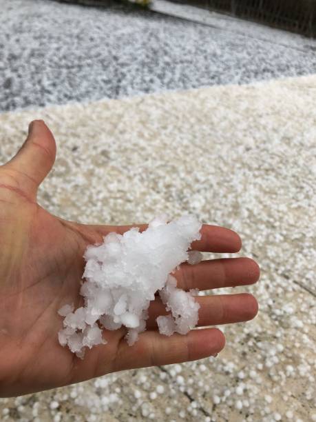 istock Halistones in hand 1307374349