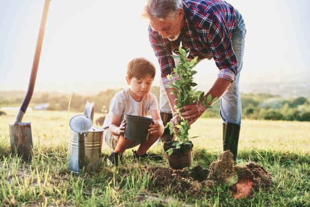 abuelo y nieto plantando un árbol - árboles frutales fotografías e imágenes de stock