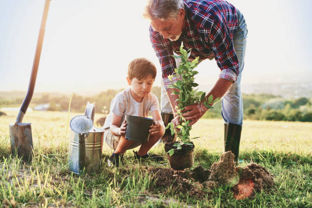 木を植える祖父と孫 - grandparent gardening child grandchild ストックフォトと画像