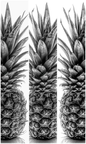 istock pineapple lies on a white background 1307377353