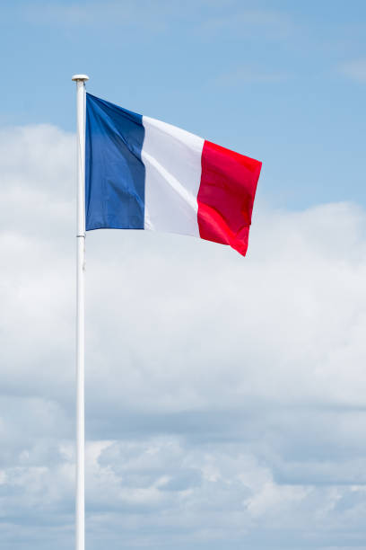 istock The French Flag 1307378352