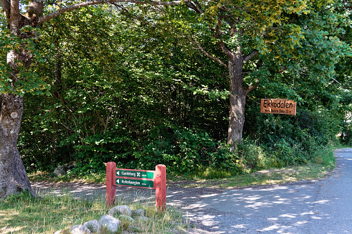 Close up of a wooden sign post pointing to a public path in the North East of England.