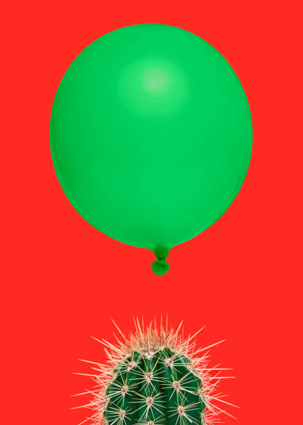 Cactus plant on a bright red background with above it floating a green balloon as a concept for something which could go wrong fast easily