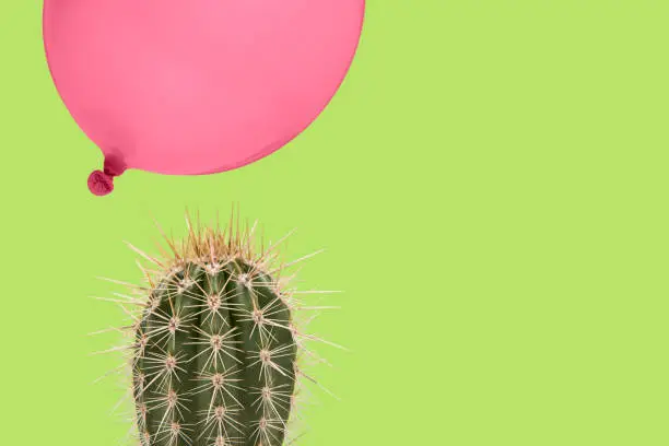 Cactus plant on a soft green background with above it floating a pink balloon as a concept for something which could go wrong fast easily
