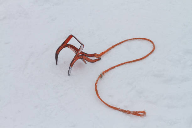 Anchor for fixing sledges with dog sleds in the snow.