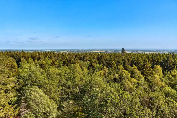 Almindingen forest seen from Kongemindet royal memorial tower located on Rytterknaegten which is the highest point on island of Bornholm at 162 metres above sea level, vicinity of Aakirkeby, Denmark