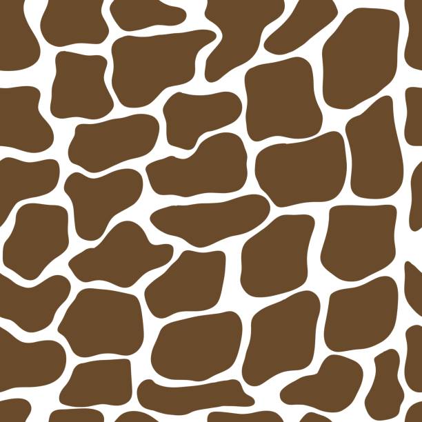 illustrazioni stock, clip art, cartoni animati e icone di tendenza di modello giraffa senza cuciture. stampa animale selvatica. illusorazione della pelle di mucca vettoriale - hide leather backgrounds isolated