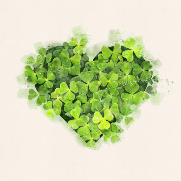 зеленый клевер оставляет сердце в акварели стиле на белом фоне бумаги - heart shape grass paper green стоковые фото и изображения