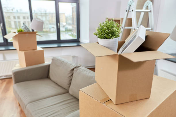 istock sofa and corrugated boxes with stuff at new home 1307391521