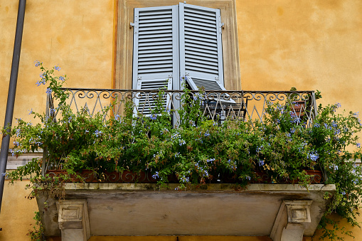 Close-up of the little balcony with green plants on the façade of an old house, Italy