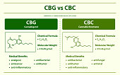 cbg-vs-cbc-cannabigerol-vs-cannabichromene-horizontale-infografik.jpg?b=1&s=170x170&k=20&c=-Cp0UdPnNaz9v8aBnJ7fScTovY1dWQXnzROELhN6aWA=
