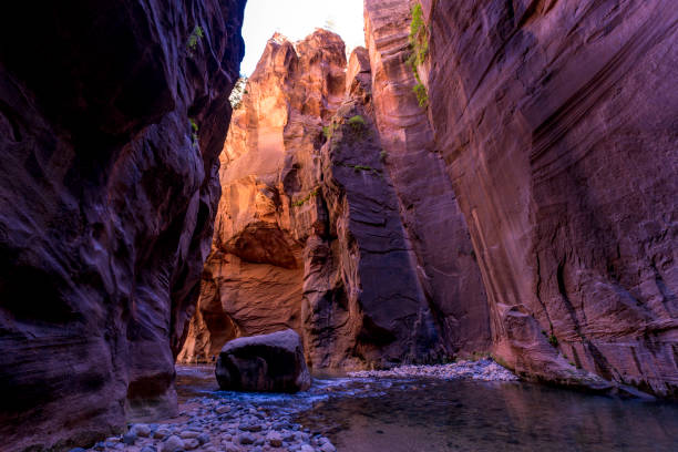 istock Zion National Park 1307394370