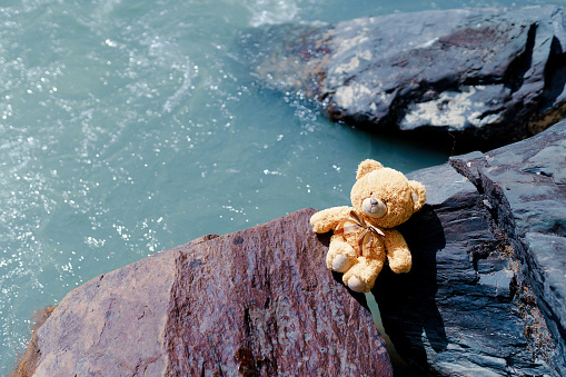 teddy bear on the stone outdoors