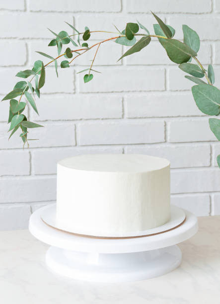 bolo branco sem decoração em um suporte sob um ramo de eucalipto. bolo com espaço de cópia - undecorated - fotografias e filmes do acervo