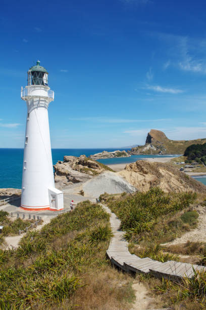 faro di castlepoint, wairarapa, nuova zelanda - castlepoint foto e immagini stock