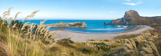 paisaje panorámico de la playa de castlepoint, isla norte, nueva zelanda - castlepoint fotografías e imágenes de stock