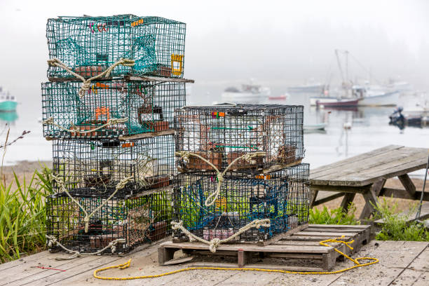 Lobster and crab pots on a dock in Maine