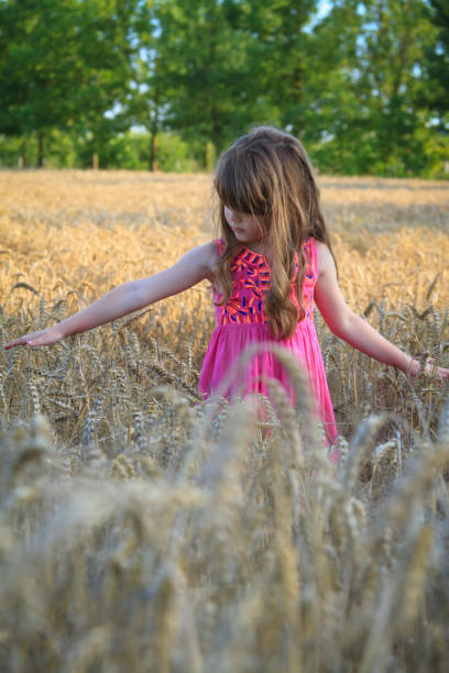 istock a little girl in a wheat field 1307398655
