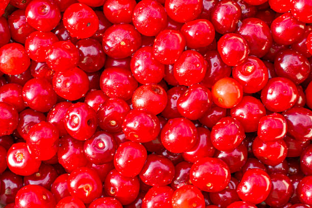 istock the red juicy ripe cherry for backdrop background 1307398991