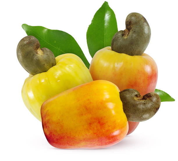 frutti di anacardi isolati su sfondo bianco - chestnut sweet food yellow group of objects foto e immagini stock