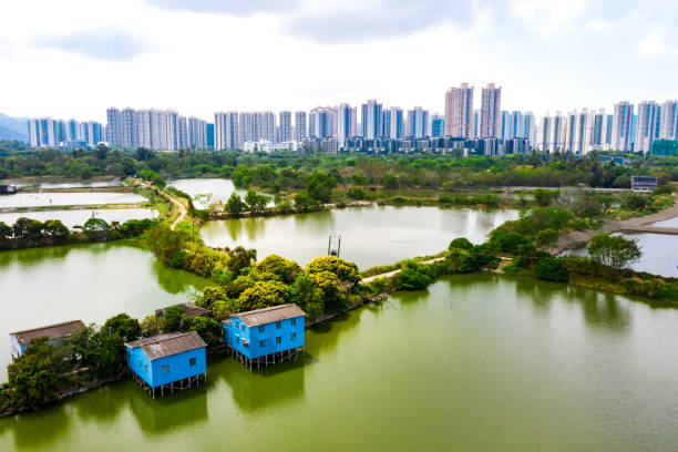Drone view fish ponds in Hong Kong