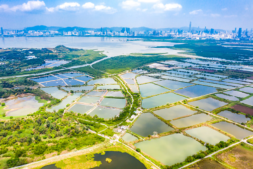 Drone view fish ponds in Hong Kong