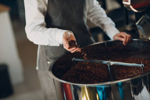 istock Coffee cooling in roaster machine at coffee roasting process. Young woman worker barista Mixing and hold coffee beans in hands. 1307406441