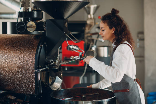 istock Coffee roaster machine and barista smell with tryer at coffee roasting process 1307406442