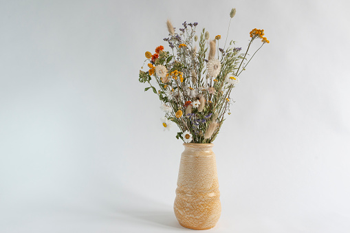 Dried cut flowers in a vase
