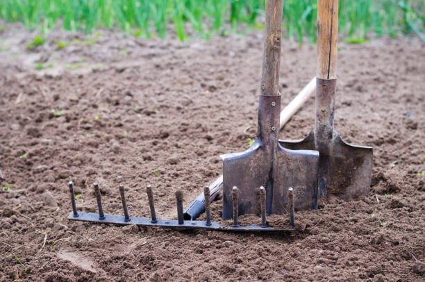 istock old garden tools for working in the vegetable garden 1307410572