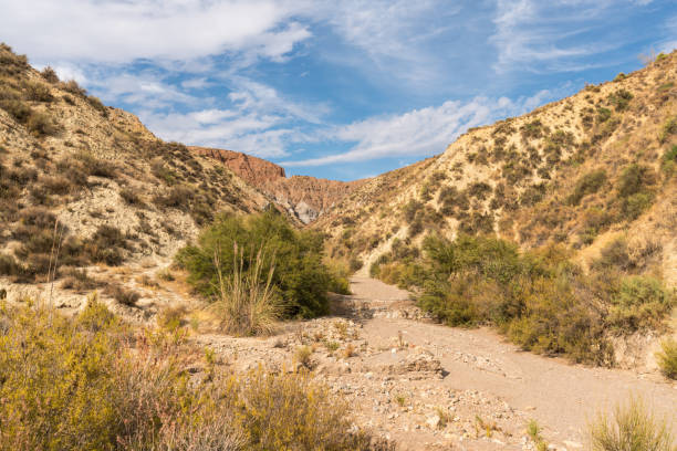 istock mountainous area in southern Spain 1307412288