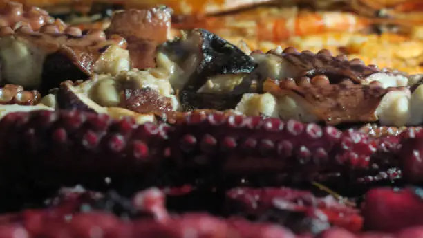 Fresh octopus and fish sold at the night market at the Forodhani Market in Stonetown, Zanzibar