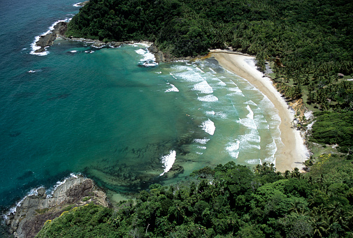 Aerial view of the coastline with local vegetations in Brazil's Northeast region.